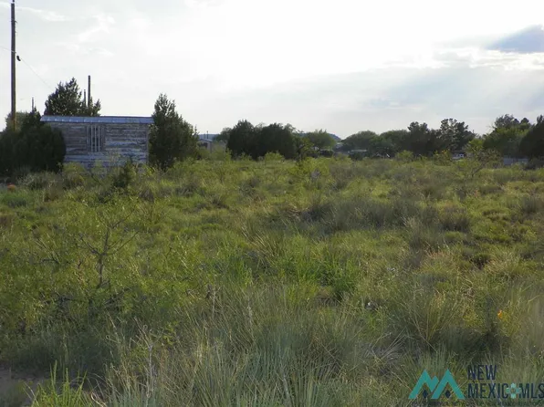 0 Ridge Rd #1, Conchas Dam, NM 88416