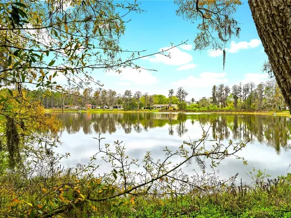 18150 Burrell Rd, Odessa, FL 33556