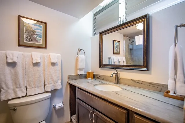 4365 Lower Honoapiilani Rd #203 — Photo 16