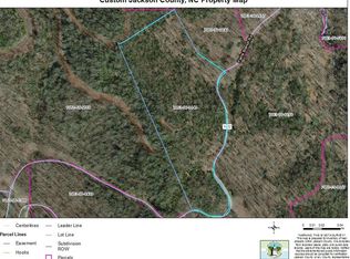 Township Road 31 Parris Branch Rd, Sylva, NC 28779