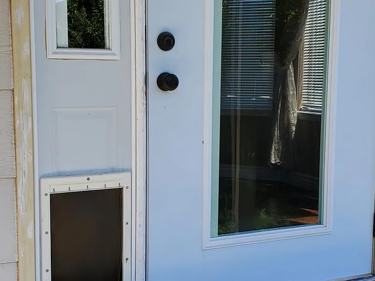 Back door, Doggy door in backyard