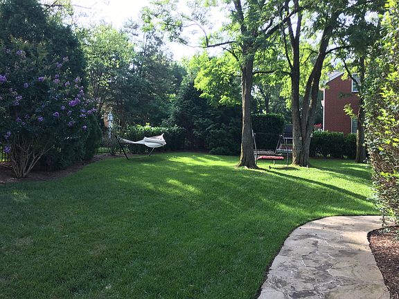 Back yard 