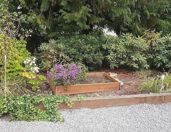 4th image of 2754 216th St SW