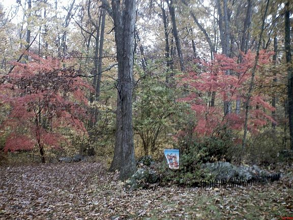 Room to roam on 8.2 acres
