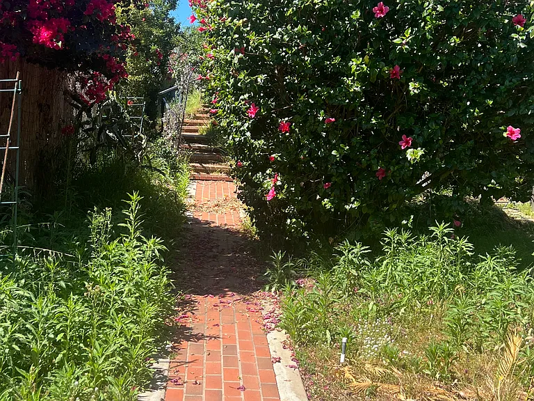 Pathway from grove to Guest Suite