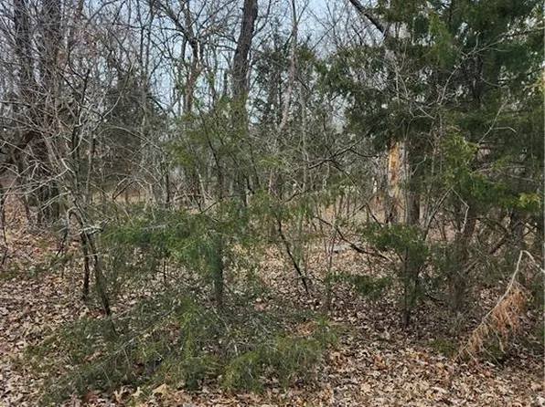 13 Silver Ln, Linn Valley, KS 66040