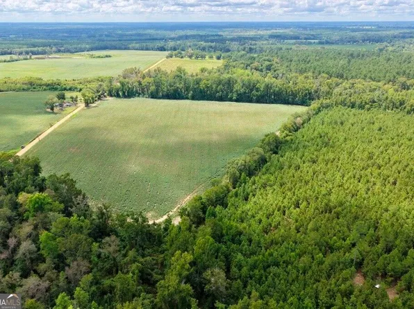 0 Watson & Cedar Lawn Roads, Metter, GA 30439