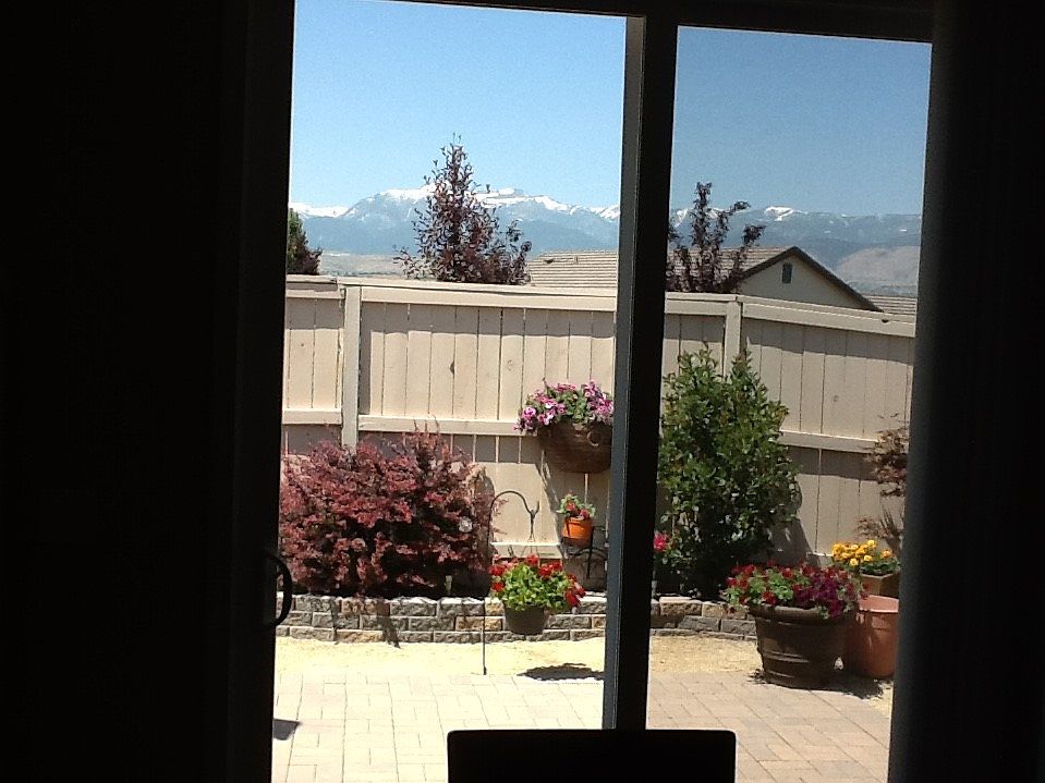 view from dining area