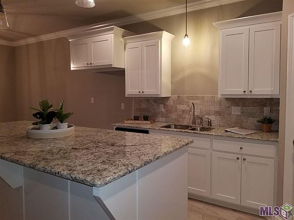 4th image of 28314 Lake Bruin Dr