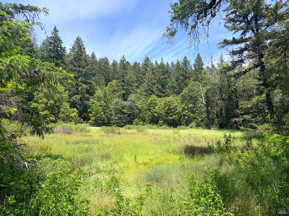 0 Registered Guest Road, Laytonville, CA 95454