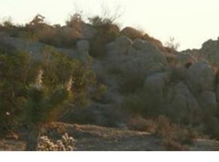 9135 San Rafael Rd, Atascadero, CA 93422