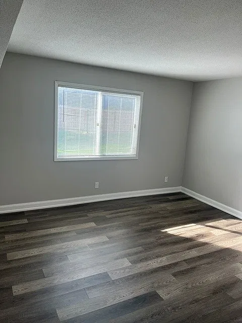 1 bed, 600 sqft, $800 — Photo 2