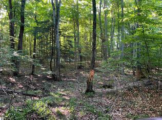 Rahe Rd, Kingsley, MI 49649