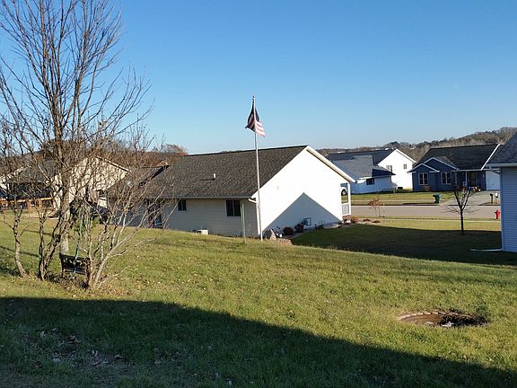Backyard with lilacs