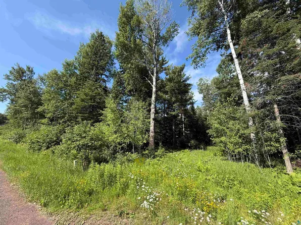 115 Marks Rd, Esko, MN 55733