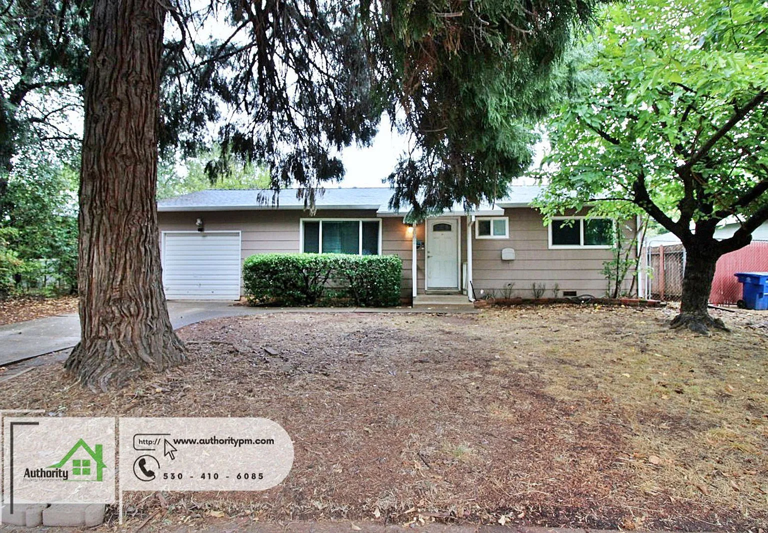 3 bed, 1.0 bath, 996 sqft, $1,595 — Photo 2