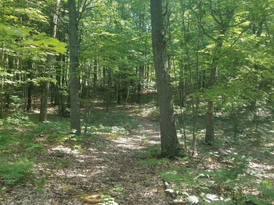 1st image of Park Ave