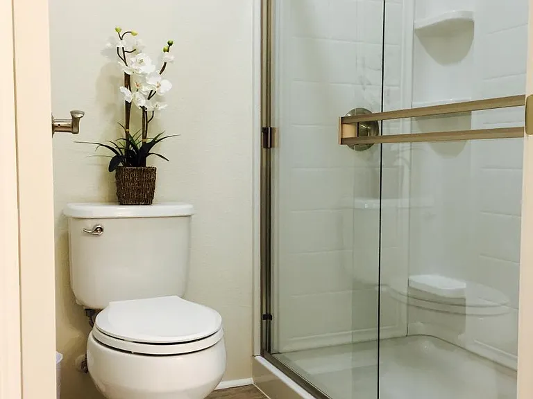 Master bedroom's bathroom