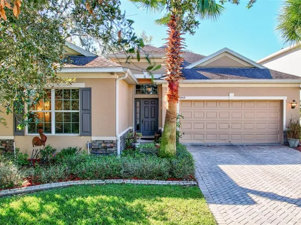 11519 Coventry Grove Cir, Lithia, FL 33547