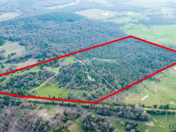 Fm 556, Gilmer, TX 75644