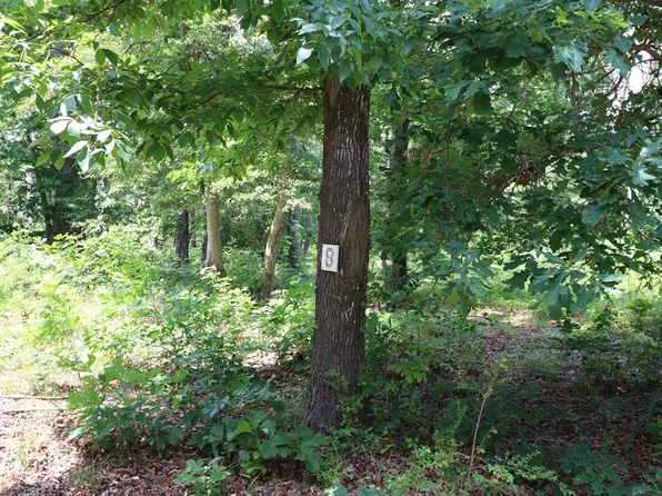 LOT 8 Socrates Ln, Cape Charles, VA 23310