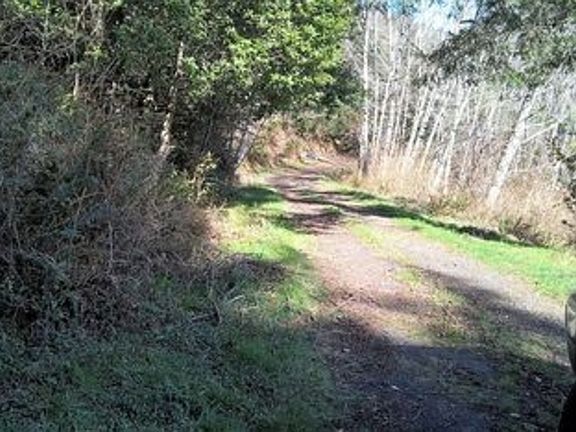 3rd image of 17277 Mountain Dr