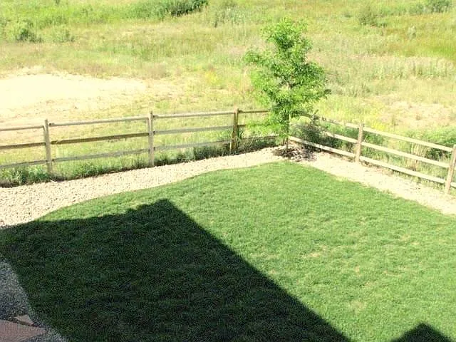 Rear-fenced yard, with wire dog fencing.