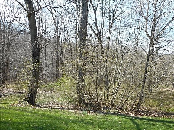 WOODED BACK YARD