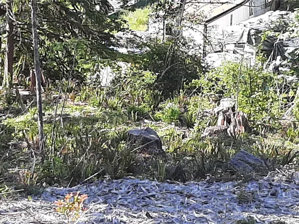 221 NE WJ Way, Belfair, WA 98528