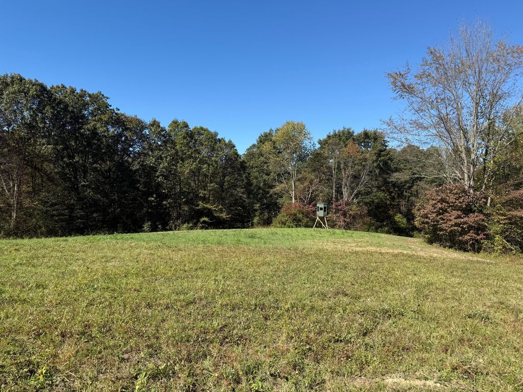 Real estate listing image