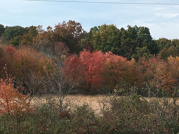 View from the back porch 