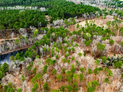 13463 Cowart Pond Rd, Metter, GA, 30439