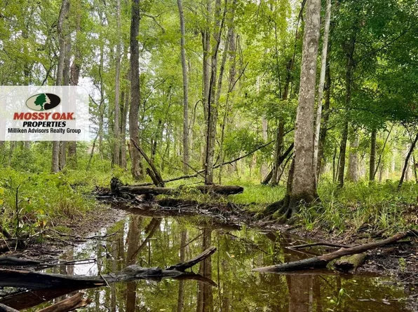 0A Langdale Dr, Walterboro, SC 29488