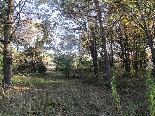 2nd image of L31-32 S Fawn Ln