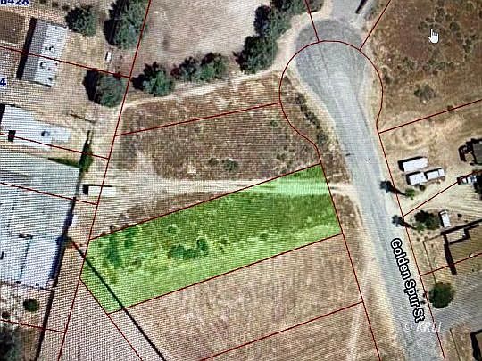 1st image of Golden Spur
