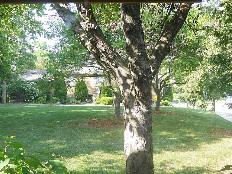 2362 Parkwood Ave — Photo 20