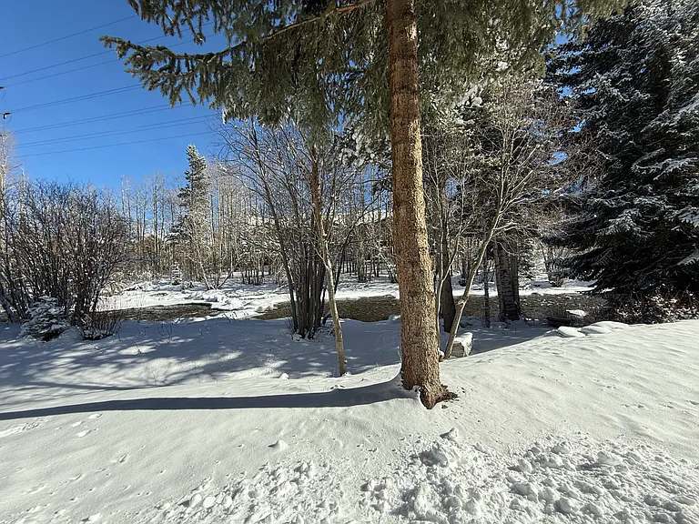 101 Forest Dr #D — Photo 22
