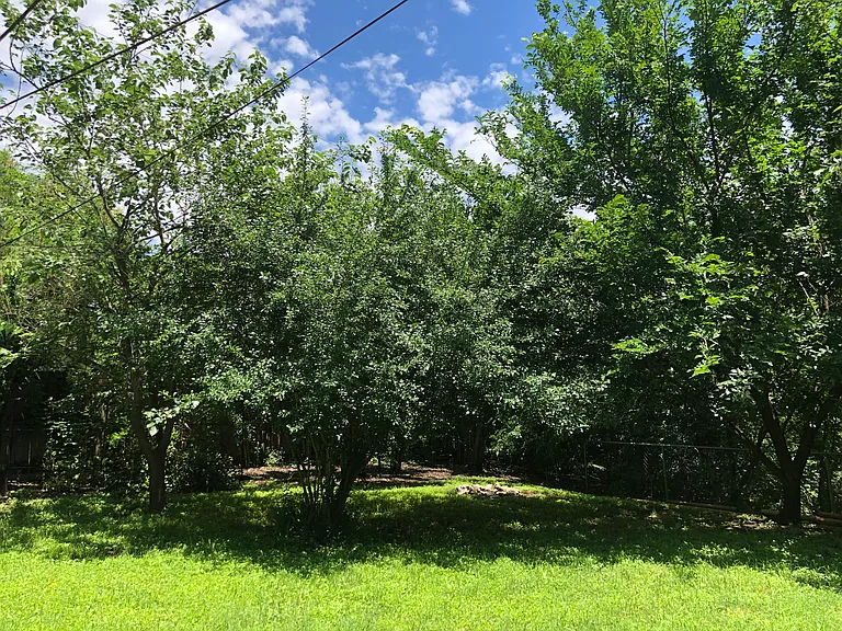 5407 Westminster Dr — Photo 9