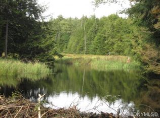 0 Thorpe Valley, Cold Brook, NY 13324