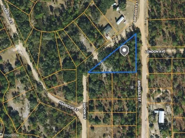 Brown St Lot 1, Interlachen, FL 32148