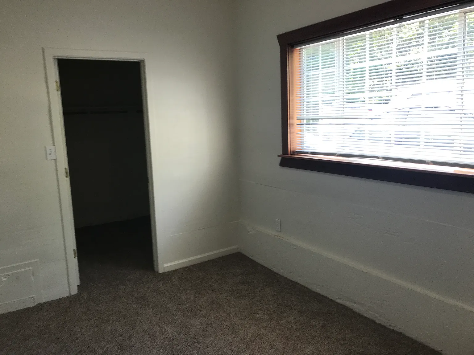 1 bed, 1100 sqft, $1,900 — Photo 4