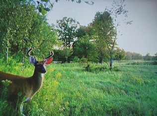 1500 Pohutsky Trail 51.5 Acres, Johannesburg, MI 49751