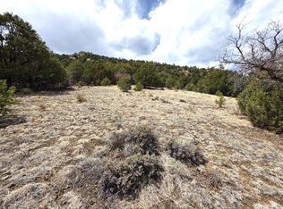 379 Fowler Dr, Westcliffe, CO 81252