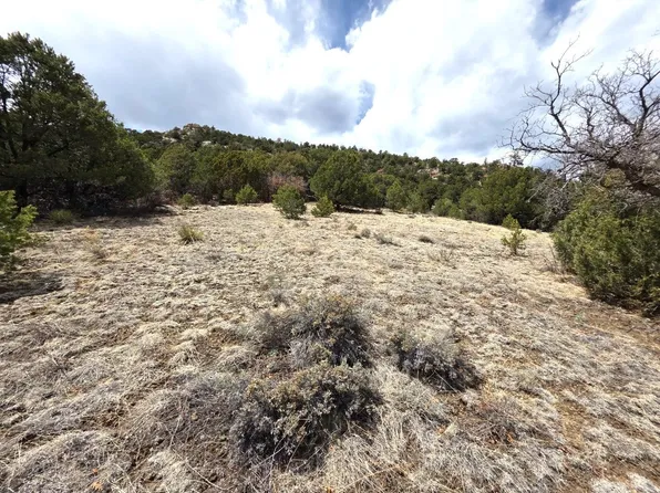 379 Fowler Dr, Westcliffe, CO 81252