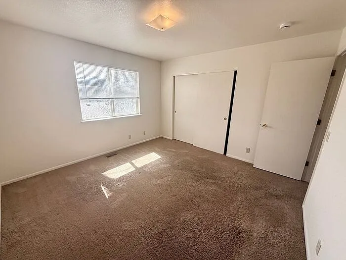 4850 Basswood Dr — Photo 9
