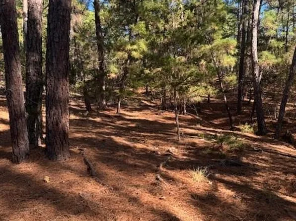 LOT 1395 Kaupa Ct, Bastrop, TX 78602
