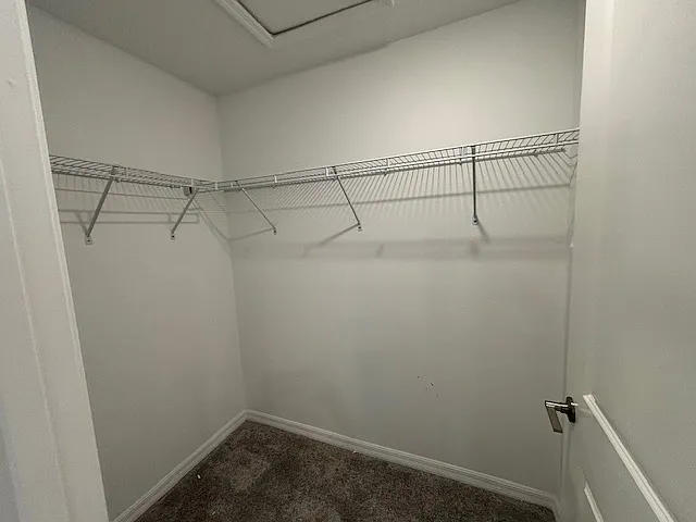 17781 Tawny Malt Pl — Photo 17