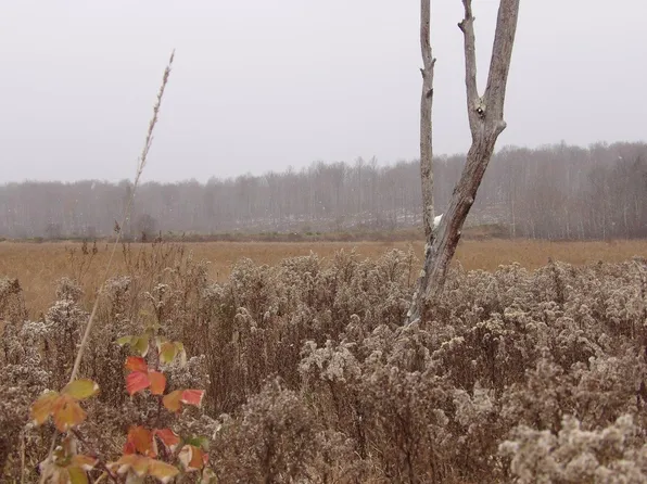 On Cth W, Winter, WI 54896