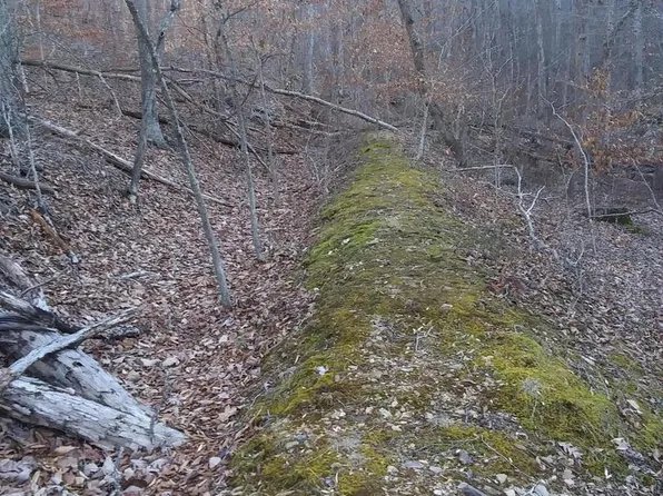 Drummer Hill Rd, Front Royal, VA 22630