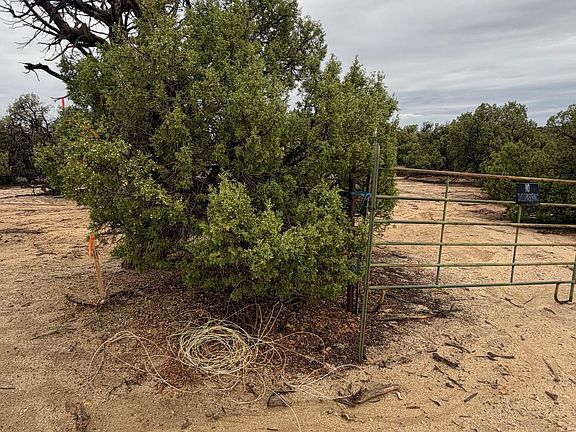 2nd image of 32 Road 2581